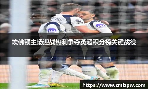 埃佛顿主场迎战热刺争夺英超积分榜关键战役